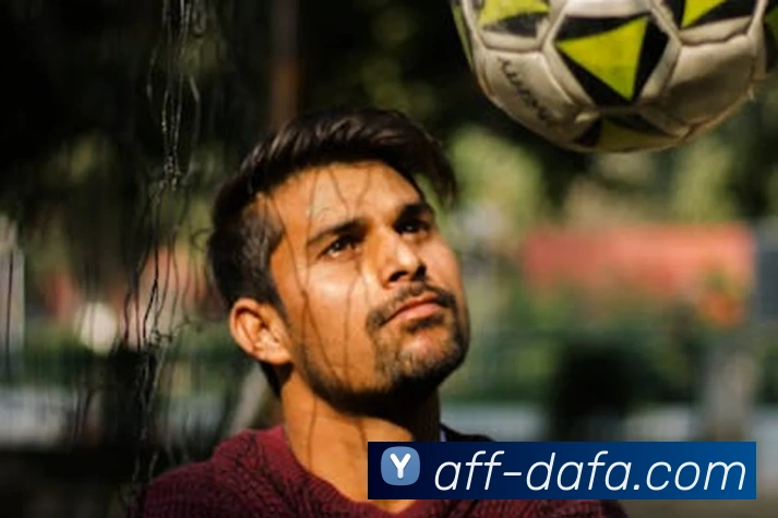 大发彩票平台生态图